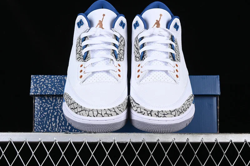 Air Jordan 3 Retro "Wizards"